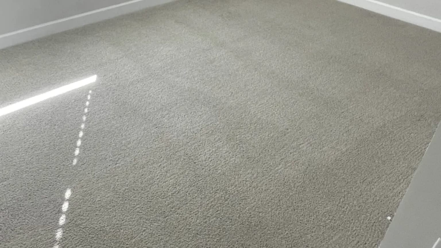 Carpet cleaning in Leesville, SC