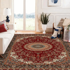 Best rug cleaning service