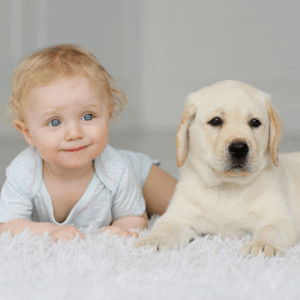 Hypoallergenic Carpet Cleaning, Baby Crawling on Carpet