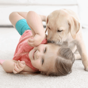 Hypoallergenic Carpet Cleaning, Baby Crawling on Carpet