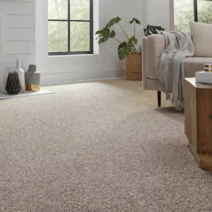 Modern home with clean carpet