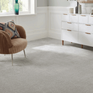 Modern home with clean carpet