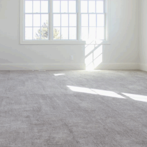 Modern home with clean carpet