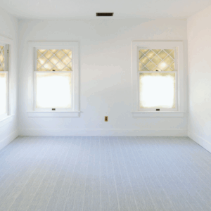 Modern home with clean carpet